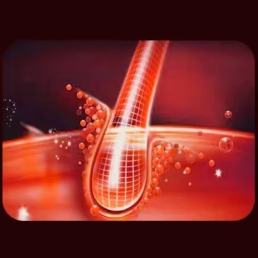 ScalpHarmony™ - LED & Oil Scalp Massage Brush:Hair, Scalp, Scalpharmony™, Oil, Massage, Growth, Follicles, Light, Thinning, Led