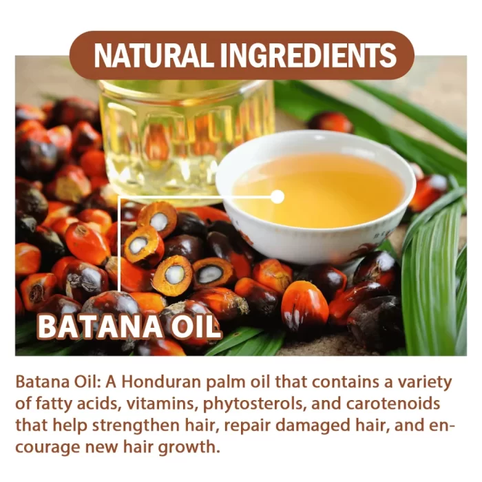 batana_oil_&_paste_bundle_6 batana_oil__paste_bundle_6